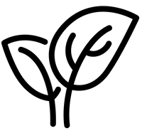 Carnauba Wax (Copernicia Cerifera)