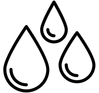 Castor Seed Oil (Ricinus Communis)